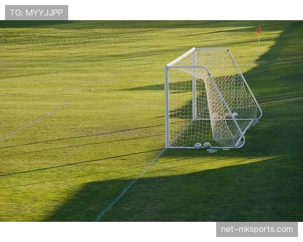 球门尺寸规则：成年比赛球门宽7.32米、高2.44米及安装要求