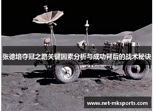 张德培夺冠之路关键因素分析与成功背后的战术秘诀